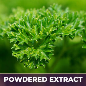 Parsley leaves pe
