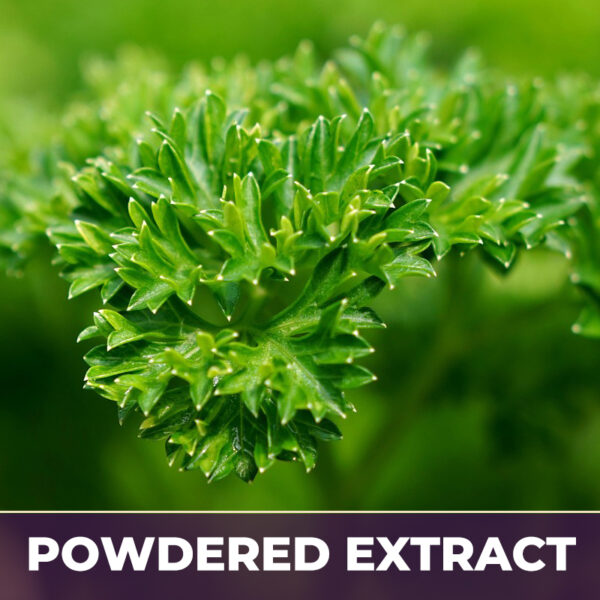 Parsley leaves pe