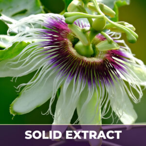 Passion flower se