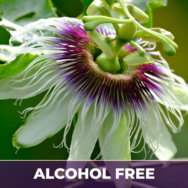 Passionflower af