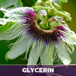 Passionflower herb in glycerin