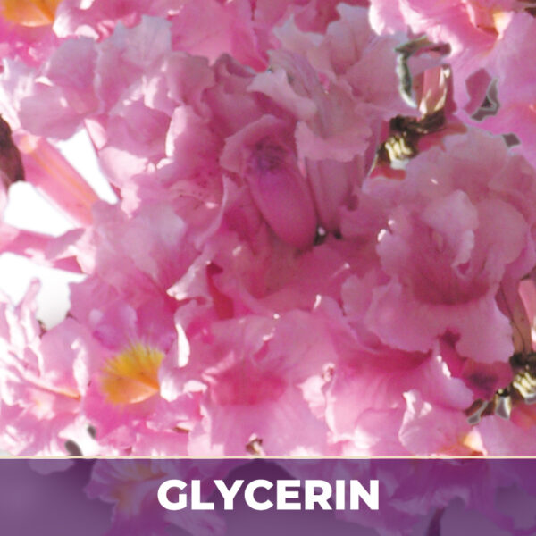 PAU D'ARCO INNER BARK IN GLYCERIN