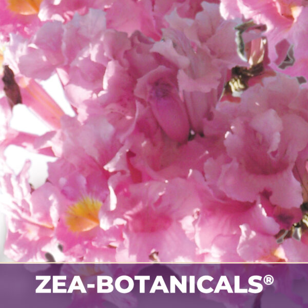 PAU D'ARCO INNER BARK ZEA-BOTANICALS®