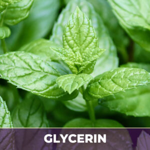 Peppermint leaf in glycerin