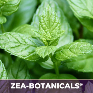 Peppermint leaf zea-botanicals