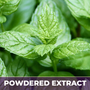Peppermint leaves pe