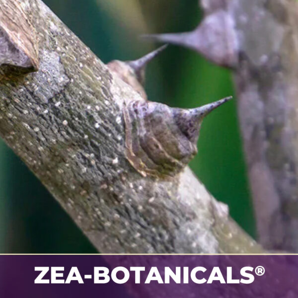 Prickly ash bark zea-botanicals