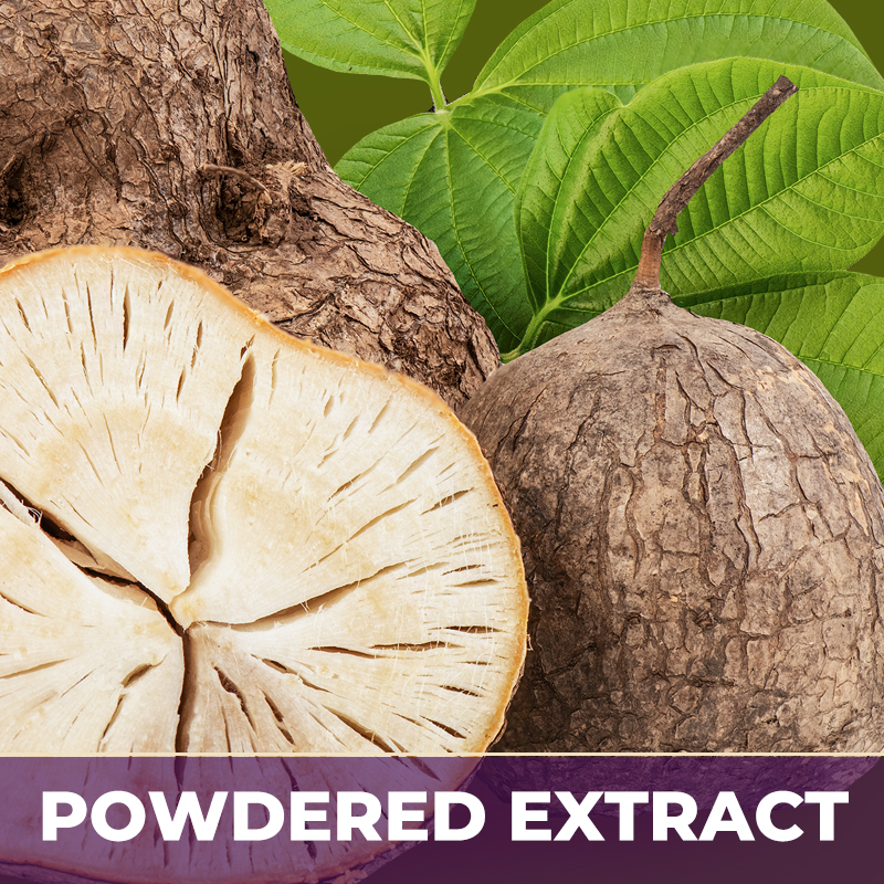 PURESTEROL® | PUERARIA MIRIFICA, PE