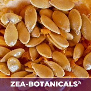 Pumpkin seedzea-botanicals