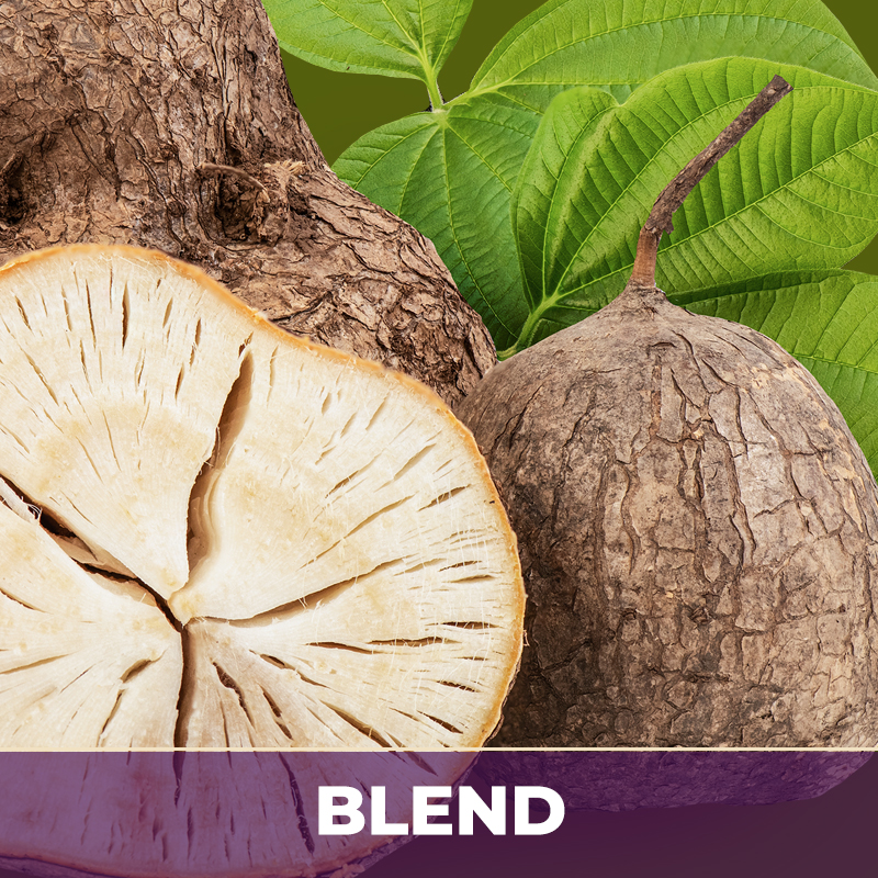 PURESTEROL® | PUERARIA MIRIFICA, AF