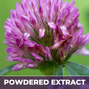 Red clover pe