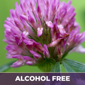 Red clover tops af