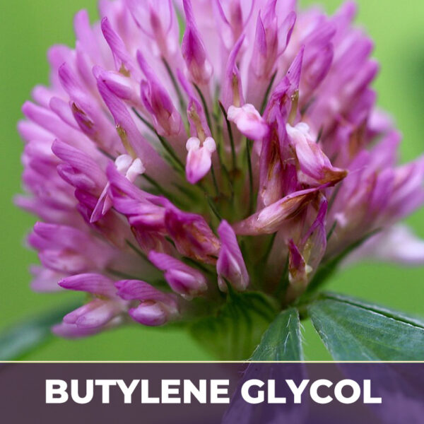 Red clover tops in bg