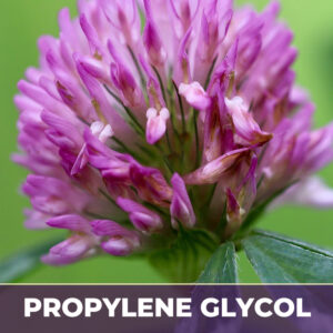 Red clover tops in pg