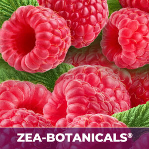 Red raspberry leaf zea-botanicals