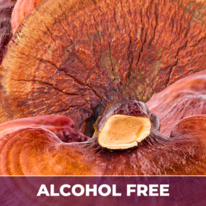 Reishi af