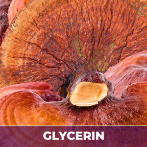 Reishi in glycerin