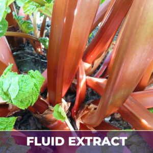 Rhubarb root fe