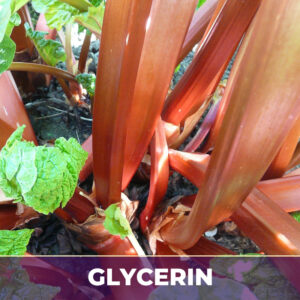 Rhubarb root in glycerin