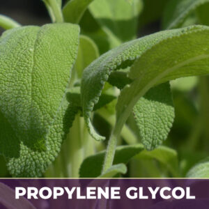 Sage leaf in pg