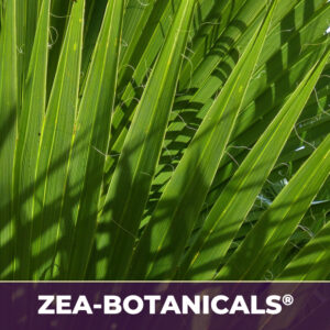 Saw palmetto berry zea-botanicals