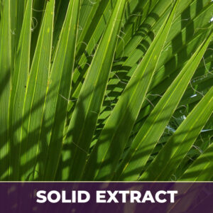 Saw palmetto se