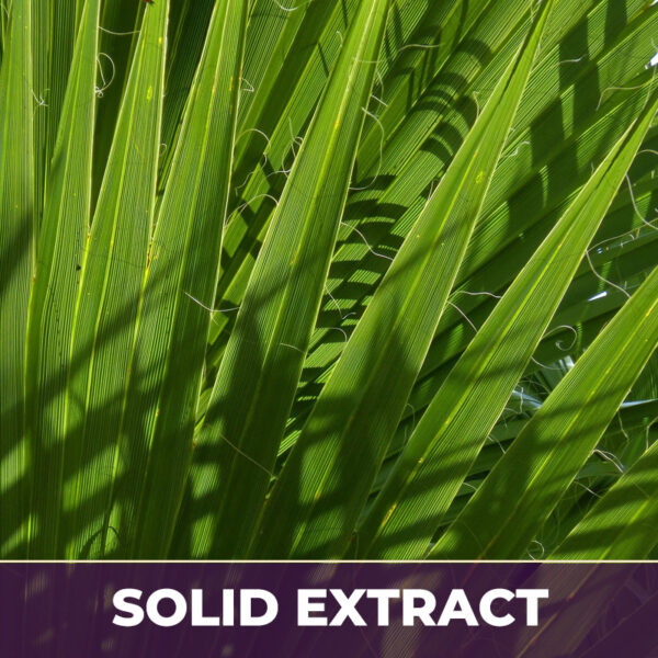 Saw palmetto se