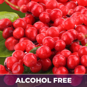 Schizandra af