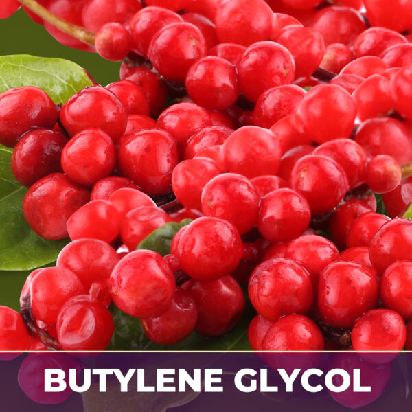 Schizandra berry in bg