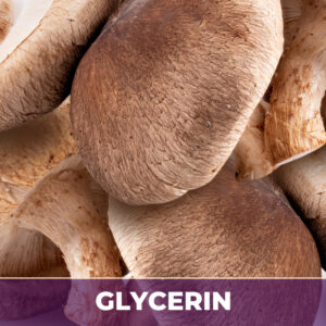 Shiitake in glycerin