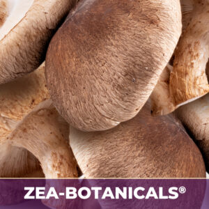 Shiitake zea-botanicals