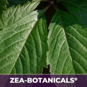 Slippery elm bark zea-botanicals