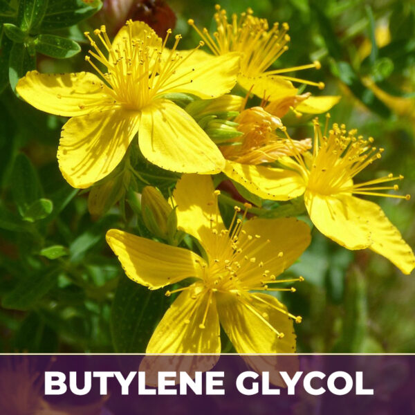 ST. JOHN'S WORT HERB IN BG