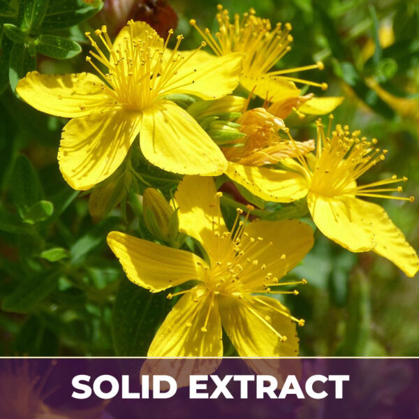 ST. JOHN'S WORT, SE
