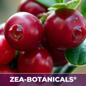 Uva ursi leaf zea-botanicals