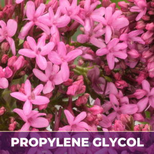 Valerian root in pg
