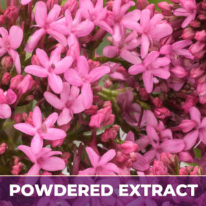 Valerian sd pe