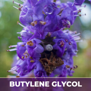 Vitex berry in glycerin