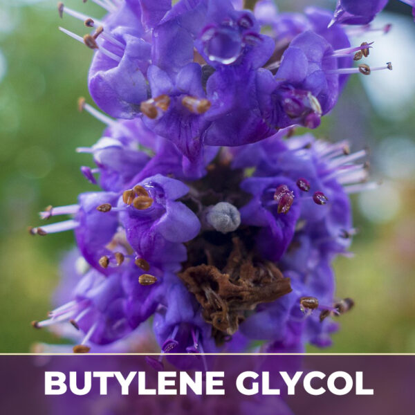 Vitex berry in glycerin