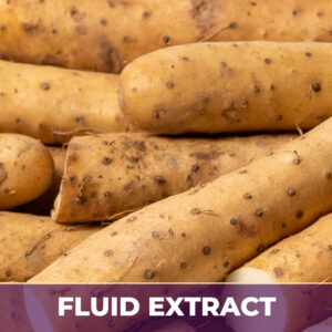 Wild yam fe