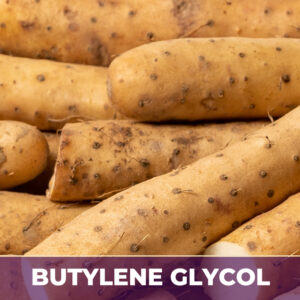 Wild yam root in bg