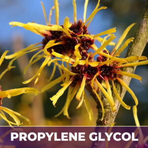 Witch hazel leaf in pg