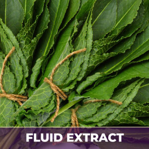 Yellow dock root fe