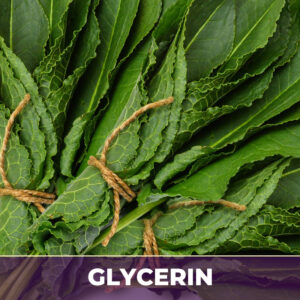 Yellow dock root in glycerin