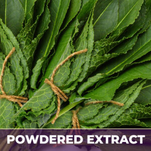 Yellow dock root pe