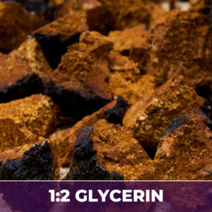CHAGA 1:2 IN GLYCERIN