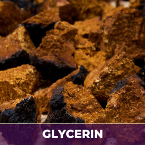 CHAGA IN GLYCERIN