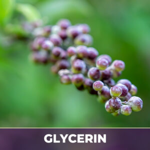 CHASTEBERRY IN GLYCERIN