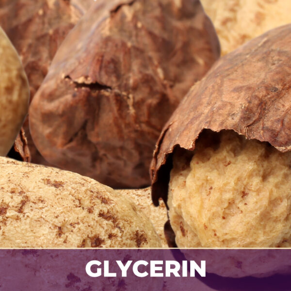 KOLA NUT IN GLYCERIN