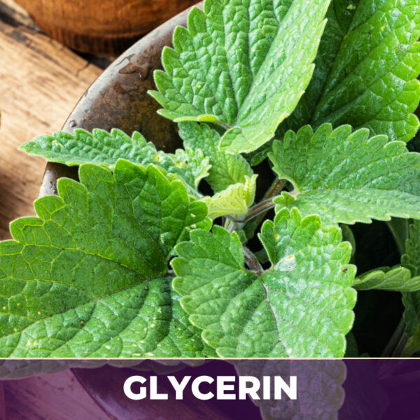 LEMON BALM HERB IN GLYCERIN